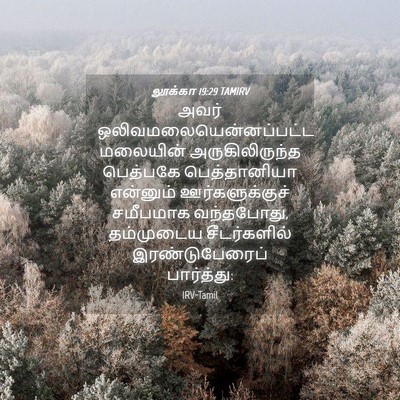 Picture 04 - லூக்கா 19:29 TAMIRV - அவர் - Bible Verse Picture