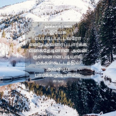 Picture 04 - லூக்கா 19:3 TAMIRV - இயேசு - Bible Verse Picture