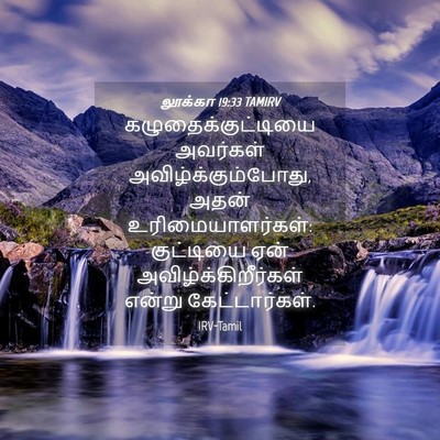 Picture 04 - லூக்கா 19:33 TAMIRV - கழுதைக்குட்டியை - Bible Verse Picture