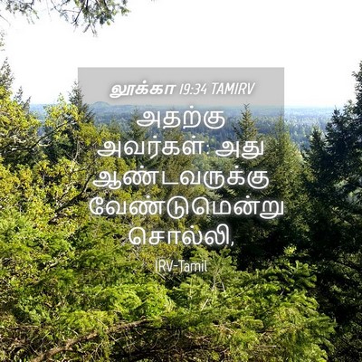 Picture 04 - லூக்கா 19:34 TAMIRV - அதற்கு அவர்கள்: - Bible Verse Picture
