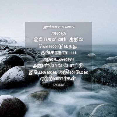 Picture 04 - லூக்கா 19:35 TAMIRV - அதை - Bible Verse Picture