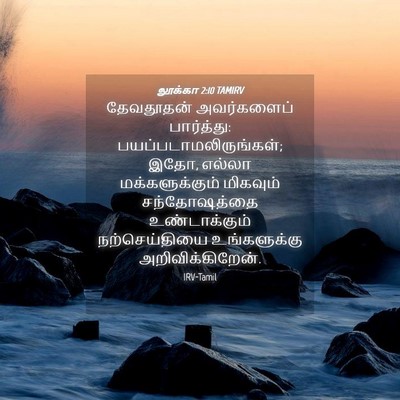 Picture 04 - லூக்கா 2:10 TAMIRV - தேவதூதன் - Bible Verse Picture