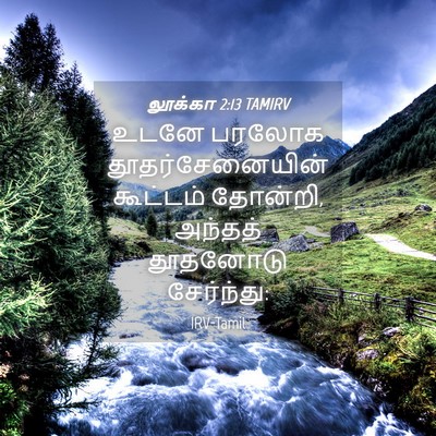 Picture 04 - லூக்கா 2:13 TAMIRV - உடனே பரலோக - Bible Verse Picture