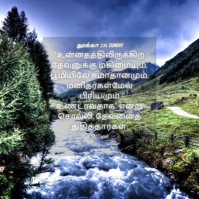 Picture 04 - லூக்கா 2:14 TAMIRV -  - Bible Verse Picture