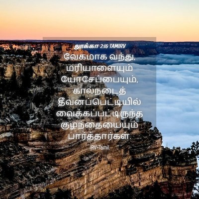 Picture 04 - லூக்கா 2:16 TAMIRV - வேகமாக வந்து, - Bible Verse Picture