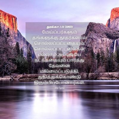 Picture 04 - லூக்கா 2:20 TAMIRV - மேய்ப்பர்களும் - Bible Verse Picture