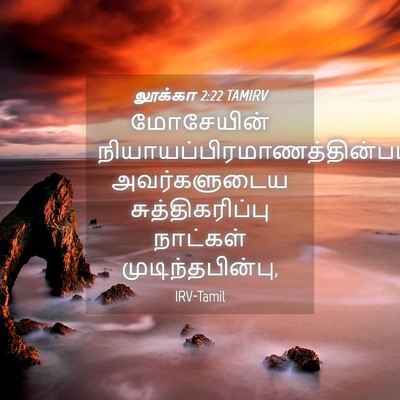 Picture 04 - லூக்கா 2:22 TAMIRV - மோசேயின் - Bible Verse Picture