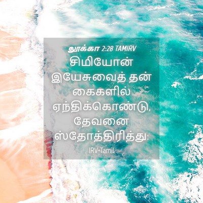 Picture 04 - லூக்கா 2:28 TAMIRV - சிமியோன் - Bible Verse Picture