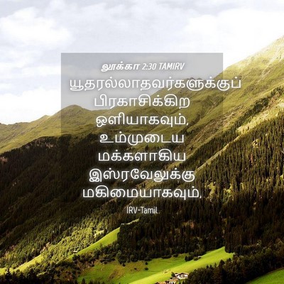Picture 04 - லூக்கா 2:30 TAMIRV -  - Bible Verse Picture