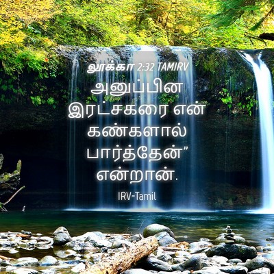 Picture 04 - லூக்கா 2:32 TAMIRV - அனுப்பின இரட்சகரை - Bible Verse Picture