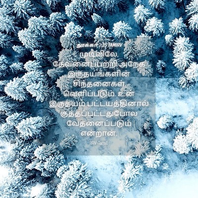 Picture 04 - லூக்கா 2:35 TAMIRV - முடிவிலே, - Bible Verse Picture