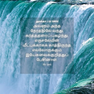 Picture 04 - லூக்கா 2:38 TAMIRV - அவளும் அந்த - Bible Verse Picture