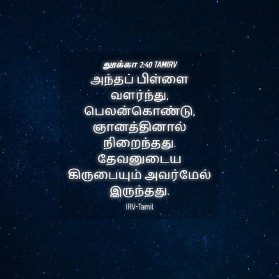 Picture 04 - லூக்கா 2:40 TAMIRV - அந்தப் பிள்ளை - Bible Verse Picture