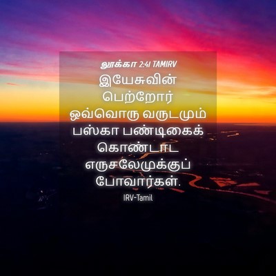 Picture 04 - லூக்கா 2:41 TAMIRV - இயேசுவின் - Bible Verse Picture