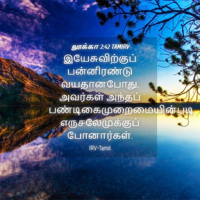 Picture 04 - லூக்கா 2:42 TAMIRV - இயேசுவிற்குப் - Bible Verse Picture