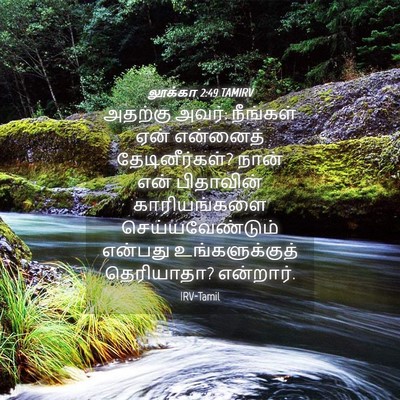 Picture 04 - லூக்கா 2:49 TAMIRV - அதற்கு அவர்: - Bible Verse Picture
