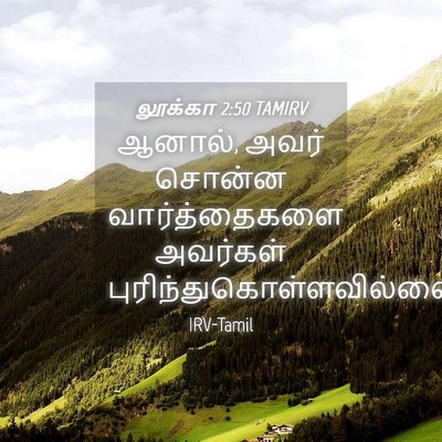 Picture 04 - லூக்கா 2:50 TAMIRV - ஆனால், அவர் சொன்ன - Bible Verse Picture