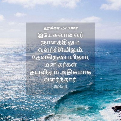 Picture 04 - லூக்கா 2:52 TAMIRV - இயேசுவானவர் - Bible Verse Picture