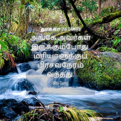 Picture 04 - லூக்கா 2:6 TAMIRV - அங்கே அவர்கள் - Bible Verse Picture