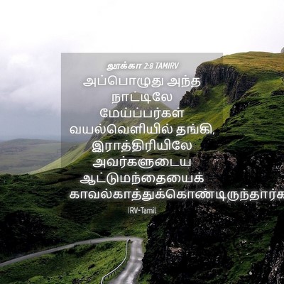 Picture 04 - லூக்கா 2:8 TAMIRV - அப்பொழுது அந்த - Bible Verse Picture