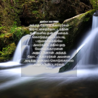 Picture 04 - லூக்கா 20:10 TAMIRV - அந்தத் - Bible Verse Picture