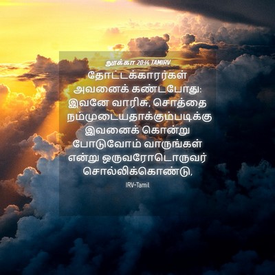 Picture 04 - லூக்கா 20:14 TAMIRV - தோட்டக்காரர்கள் - Bible Verse Picture