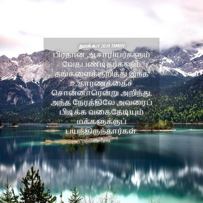 Picture 04 - லூக்கா 20:19 TAMIRV - பிரதான - Bible Verse Picture