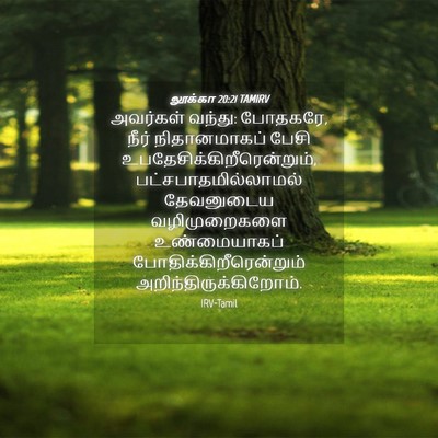 Picture 04 - லூக்கா 20:21 TAMIRV - அவர்கள் வந்து: - Bible Verse Picture