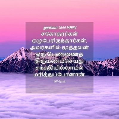 Picture 04 - லூக்கா 20:29 TAMIRV - சகோதரர்கள் - Bible Verse Picture