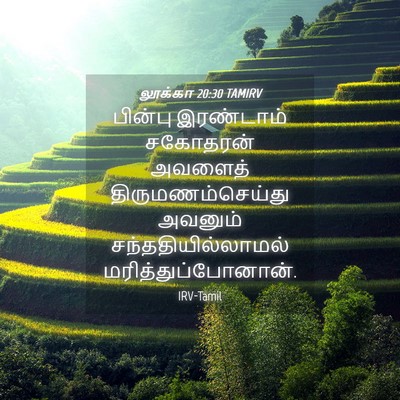 Picture 04 - லூக்கா 20:30 TAMIRV - பின்பு இரண்டாம் - Bible Verse Picture