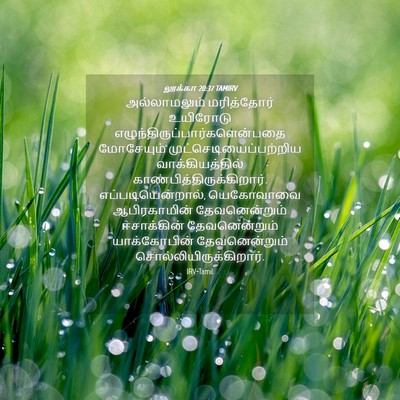 Picture 04 - லூக்கா 20:37 TAMIRV - அல்லாமலும் - Bible Verse Picture