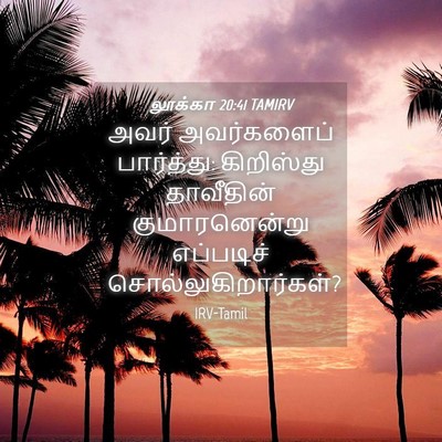 Picture 04 - லூக்கா 20:41 TAMIRV - அவர் அவர்களைப் - Bible Verse Picture