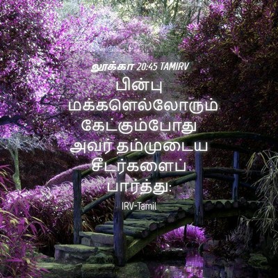 Picture 04 - லூக்கா 20:45 TAMIRV - பின்பு - Bible Verse Picture