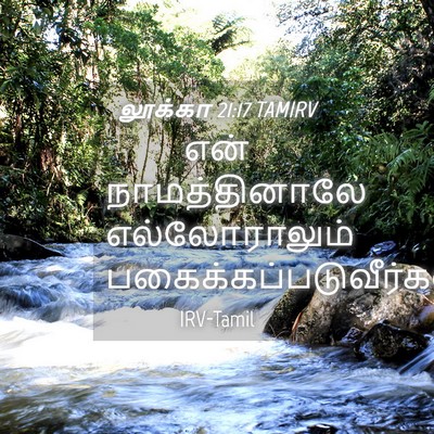 Picture 04 - லூக்கா 21:17 TAMIRV - என் நாமத்தினாலே - Bible Verse Picture