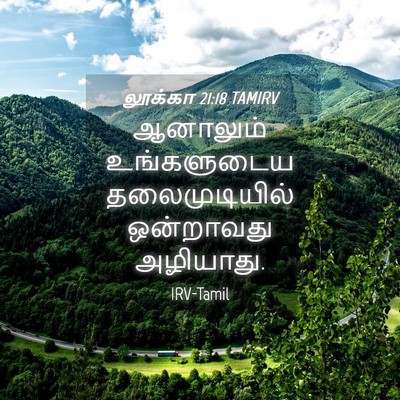 Picture 04 - லூக்கா 21:18 TAMIRV - ஆனாலும் உங்களுடைய - Bible Verse Picture