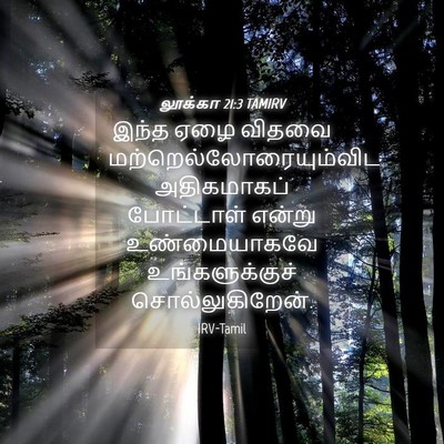 Picture 04 - லூக்கா 21:3 TAMIRV - இந்த ஏழை விதவை - Bible Verse Picture