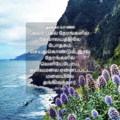 Picture 04 - லூக்கா 21:37 TAMIRV - அவர் பகல் - Bible Verse Picture