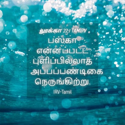 Picture 04 - லூக்கா 22:1 TAMIRV - பஸ்கா என்னப்பட்ட - Bible Verse Picture