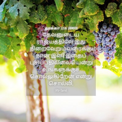 Picture 04 - லூக்கா 22:16 TAMIRV - தேவனுடைய - Bible Verse Picture
