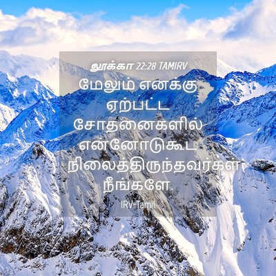 Picture 04 - லூக்கா 22:28 TAMIRV - மேலும் எனக்கு - Bible Verse Picture