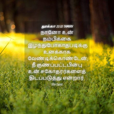 Picture 04 - லூக்கா 22:32 TAMIRV - நானோ உன் - Bible Verse Picture