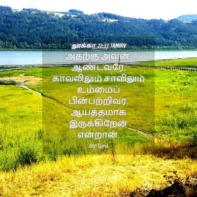 Picture 04 - லூக்கா 22:33 TAMIRV - அதற்கு அவன்: - Bible Verse Picture