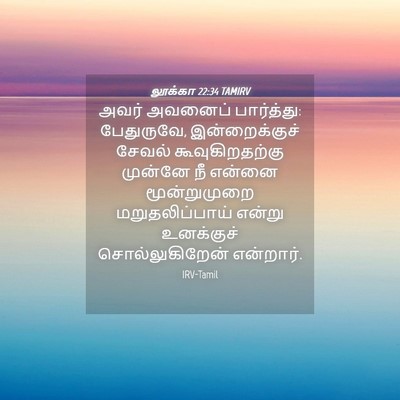 Picture 04 - லூக்கா 22:34 TAMIRV - அவர் அவனைப் - Bible Verse Picture