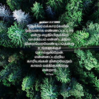 Picture 04 - லூக்கா 22:37 TAMIRV -  - Bible Verse Picture