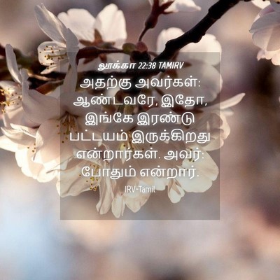 Picture 04 - லூக்கா 22:38 TAMIRV - அதற்கு அவர்கள்: - Bible Verse Picture