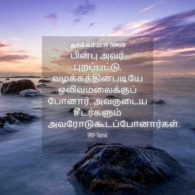 Picture 04 - லூக்கா 22:39 TAMIRV - பின்பு அவர் - Bible Verse Picture
