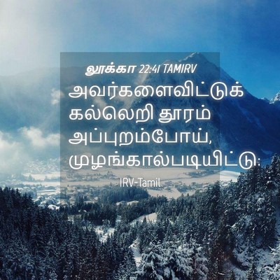 Picture 04 - லூக்கா 22:41 TAMIRV - அவர்களைவிட்டுக் - Bible Verse Picture