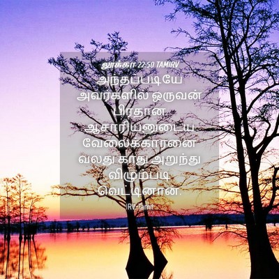 Picture 04 - லூக்கா 22:50 TAMIRV - அந்தப்படியே - Bible Verse Picture