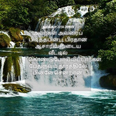 Picture 04 - லூக்கா 22:54 TAMIRV - அவர்கள் அவரைப் - Bible Verse Picture