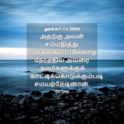 Picture 04 - லூக்கா 22:6 TAMIRV - அதற்கு அவன் - Bible Verse Picture